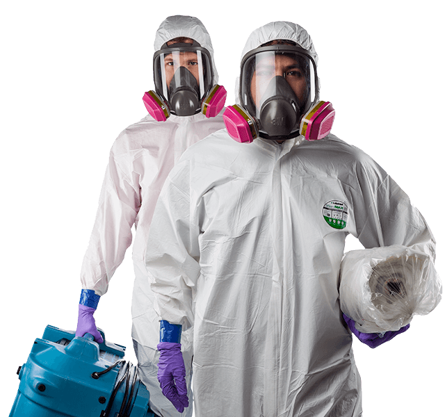 Ottawa Mold Remediation