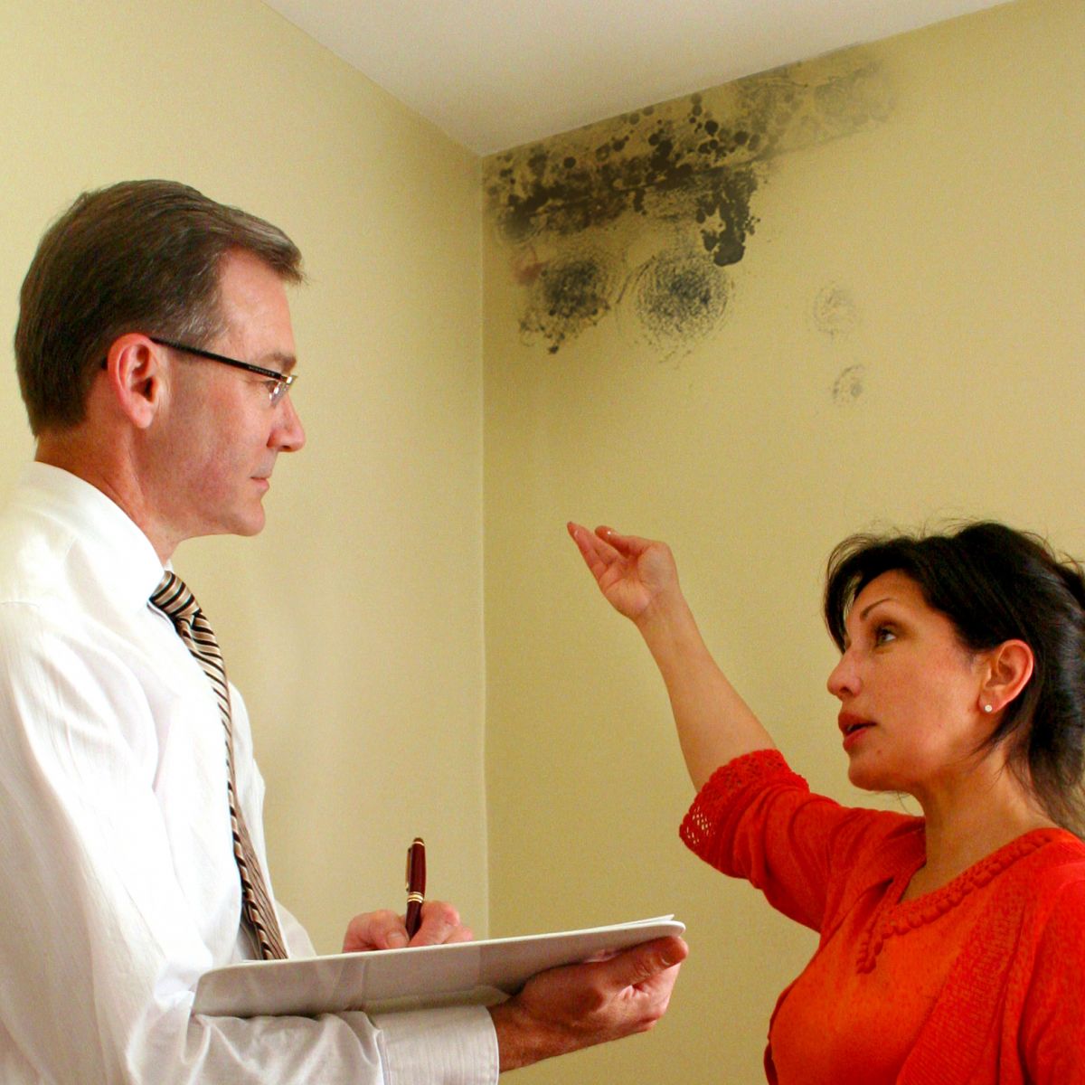 Mold Inspection Ottawa Ontario