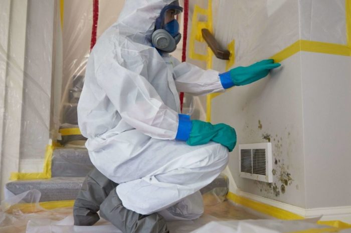 Mold Removal Ottawa